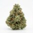 Ajs Sour Diesel cannabis strain
