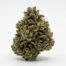 Animal Trax cannabis strain
