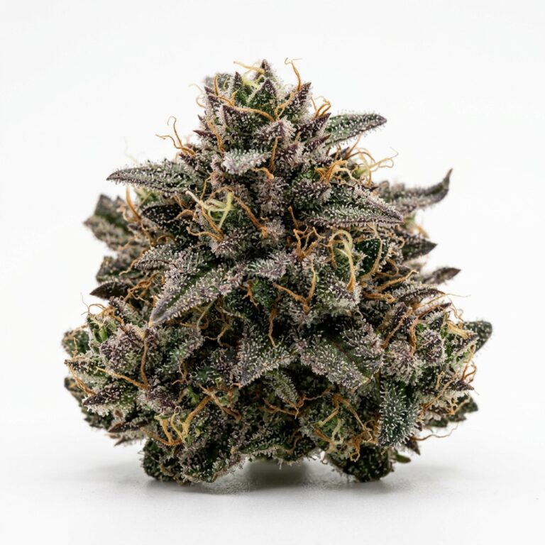 Berry Nebula cannabis strain