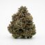 Burger Jealousy cannabis strain