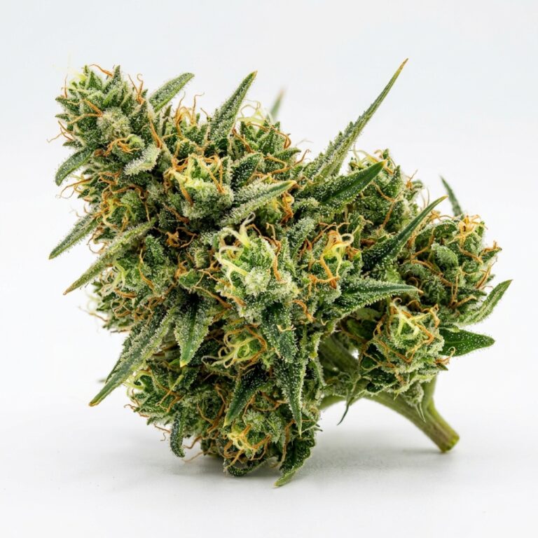 Citrus Blossom cannabis strain