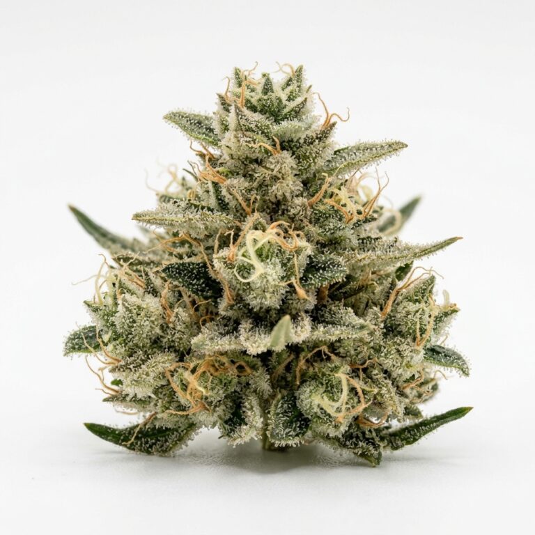 Elderflower cannabis strain