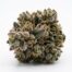 Khalifa Kush Point Breeze cannabis strain