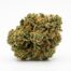 Mezcal Paloma cannabis strain