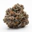 Octane Omakase cannabis strain