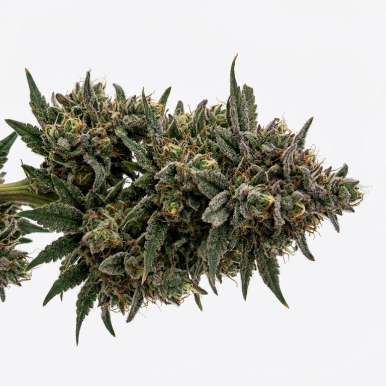 RK Cookies cannabis strain