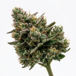 Sour Berry Gas Cannabis Strain