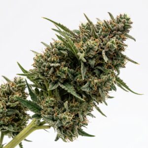 Sticky Pie Cannabis Strain