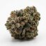 Swoon cannabis strain