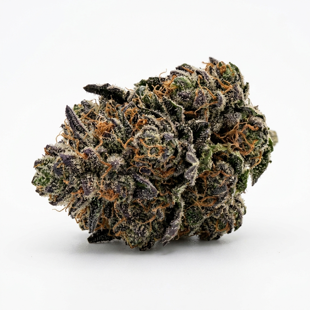 Tourist Trap cannabis strain